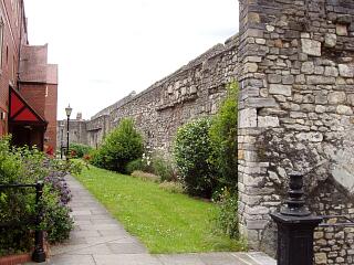 Interior of town wall south of Simnel Street, 21.6.09,  © I Peckham